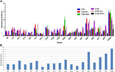 Biofilm Formation by ica-Negative Ocular Isolates of Staphylococcus haemolyticus